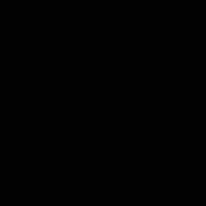 Meet your Posher, Davaughn